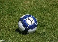 郑钦文成功,闯入法网女,单次轮,DB真人视讯,DB真人,(Sports),DB视讯官网,DB真人官方平台