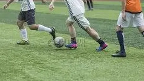 DB真人官方平台 产品 133113 meg