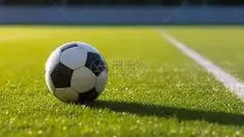 苏州挑战南京（11月29日）赛事购票预告