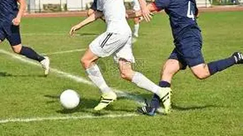 DB真人官方平台 产品 130830 ptn