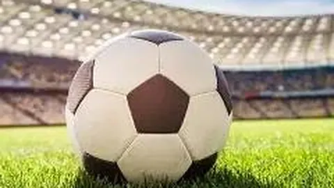 DB真人官方平台 资讯 132146 663