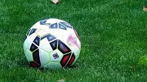 DB真人官方平台 资讯 131909 wrf