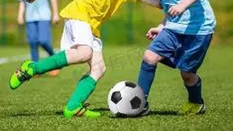 DB真人官方平台