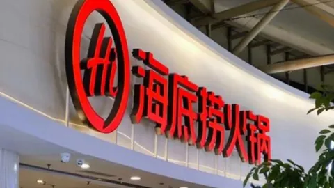 DB真人官方平台 产品 100353 rin