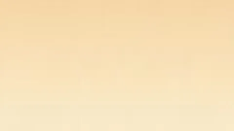 DB真人官方平台 资讯 104019 niz