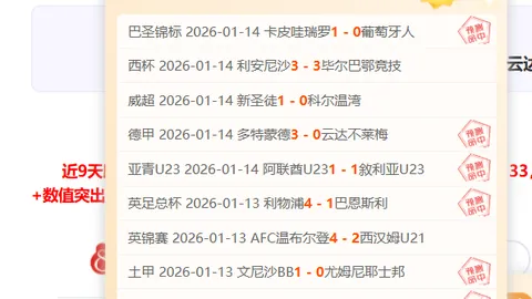 切尔西赛季末战或面临保级危机，形势不容乐观